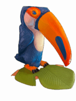 image00003