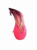 image00006